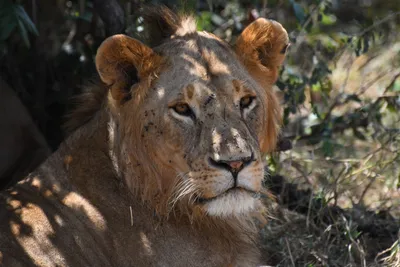 DSC_3557 (Large).JPG